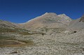IMG_1317