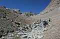 IMG_1340