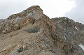 IMG_1461
