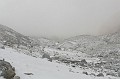 IMG_1475