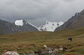 IMG_1685