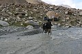 IMG_1716
