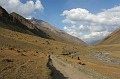 IMG_1727