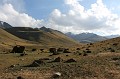 IMG_1740