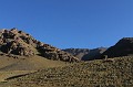 IMG_1769