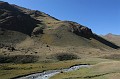 IMG_1786