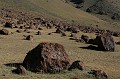 IMG_1788