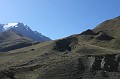 IMG_1804