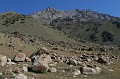 IMG_1809