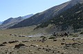 IMG_1815