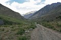 IMG_1854sh