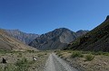 IMG_1887