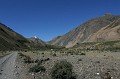IMG_1888