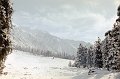 Kir86_54r