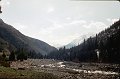 Kir86_66r