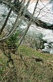 03-04