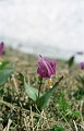 03-07