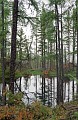 Olesya00-2-07_18