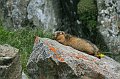 IMG_12158