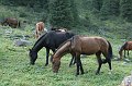 IMG_12269