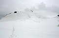 IMG_12418