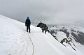 IMG_12462