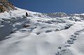 IMG_12835