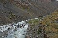 IMG_13142
