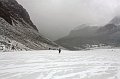 IMG_13218