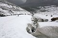 IMG_13227