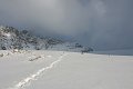 IMG_13341