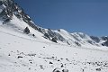 IMG_13429