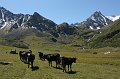 IMG_13493