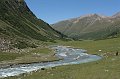 IMG_13498
