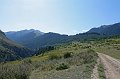 IMG_13525