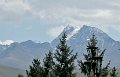 IMG_13535x