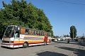 IMG_13546