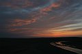 IMG_13555