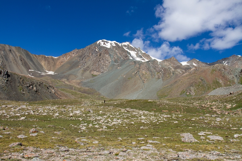 IMG_35301.JPG - 2.    