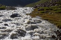 IMG_35439