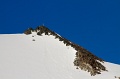 IMG_35647