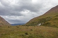 IMG_36212