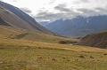 IMG_36240
