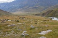 IMG_36249