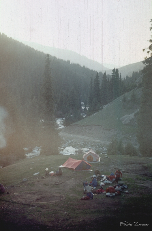 008.jpg -     ,    
