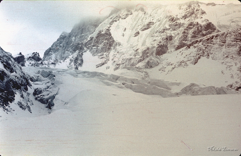 040.jpg -   ,   -   