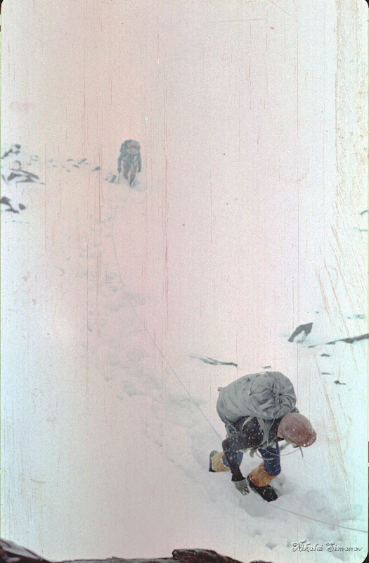 050.jpg -     