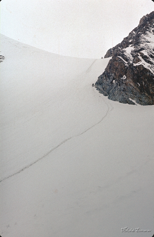 061.jpg -          