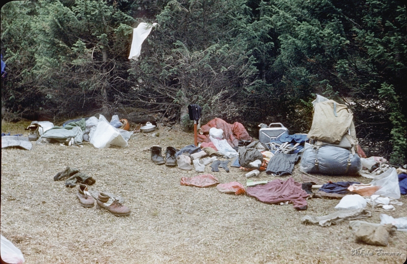 090.jpg -      -