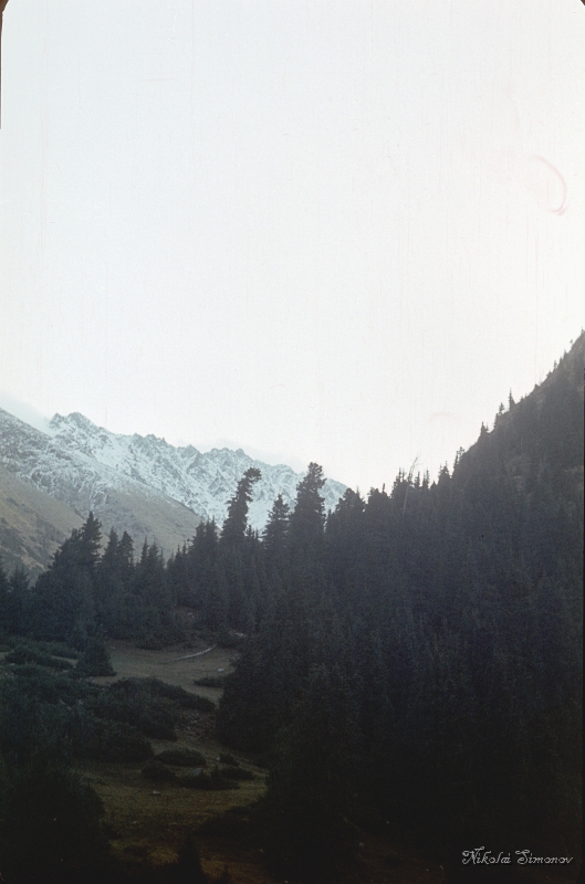 096.jpg -       ?